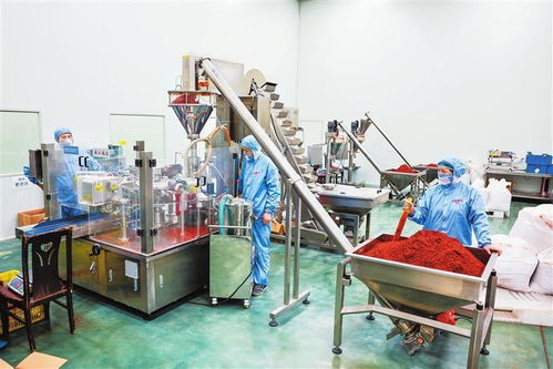 隴右名城熱潮涌動 從田間到舌尖，天水麻辣燙火爆出圈的“初級農產(chǎn)品”密碼