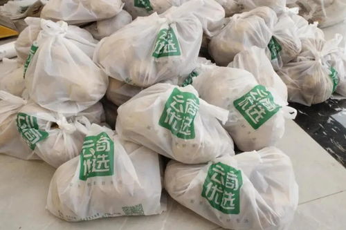 農夫電商消費扶貧，守護初級農產品的上行之路